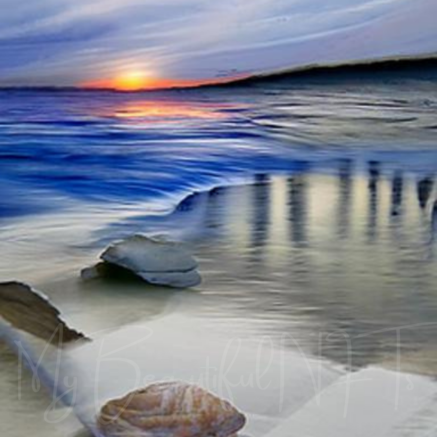 Seashell Sunrise