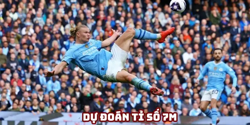 dự đoán tỉ số 7M