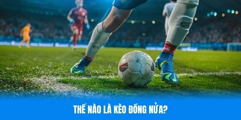 Tìm hiểu khái niệm của kèo đồng nửa