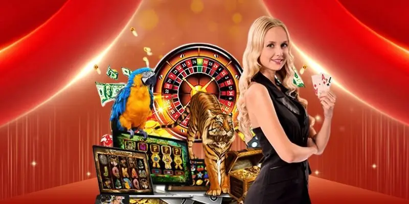 Nhà cái Net88 thu hút đông đảo người chơi tham gia