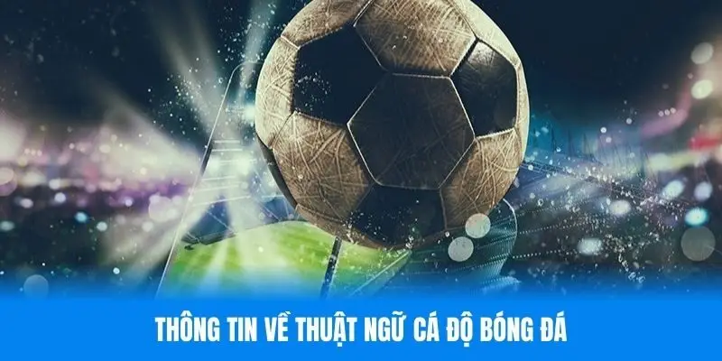 Khái quát về thuật ngữ cá độ bóng đá